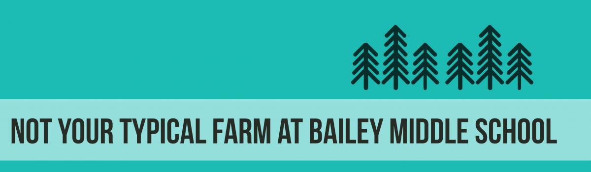 Not your typical tree farm at Bailey Middle School