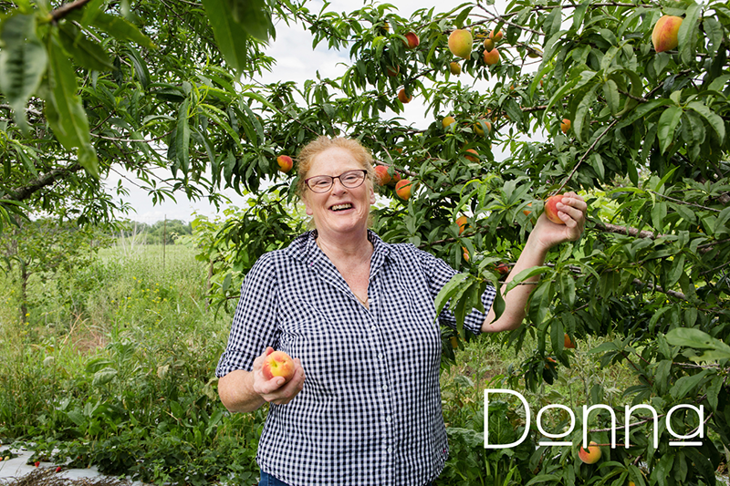 Donna picking a peach off a tree.